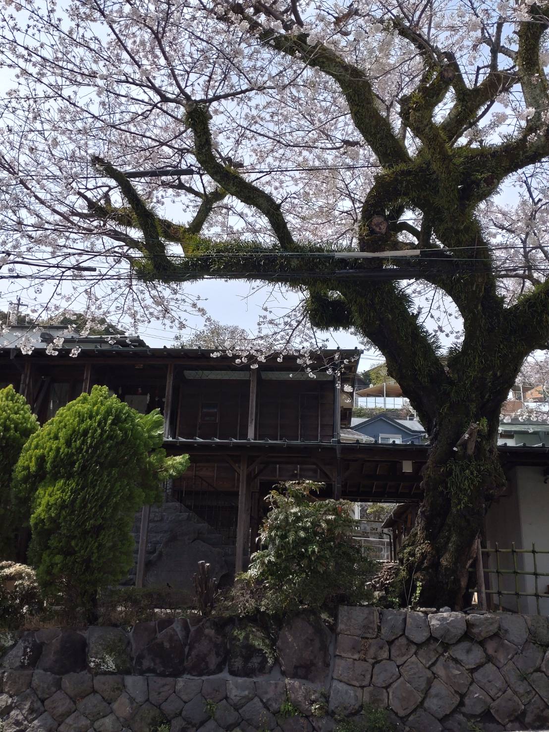 お知らせのサムネイル